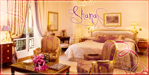 La chambre de Shana. Mod_article1140517_54